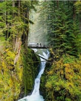 sol_duc
