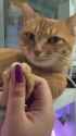 1723258823350082_thumb.jpg