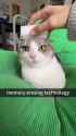 youtube_iorIQRIj53M_1080x1920_h264_thumb.jpg