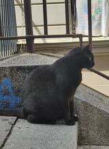 IMG_20250808_130012