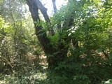 IMG_20250614_133825_x