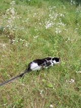IMG_20250808_124432914-1