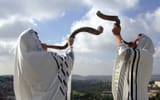 shofarsforholiday_900x0_1e1
