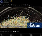 microplastics_in_every_testicle