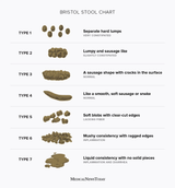 15970-bristol-stool-chart-1296x1394-english-body