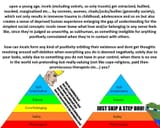 27848832