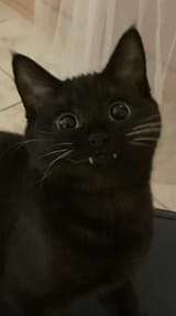 1679336020059024