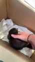 240177_thumb.jpg