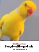 papagei