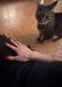 3687100_thumb.jpg