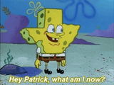 im-texas-spongebob
