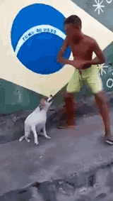 dance-dog[1]