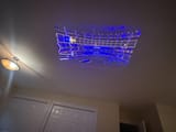 img 3931