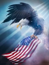 0546981_eagle-1