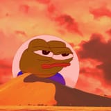 3113993506