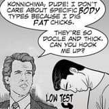 ShallowHal