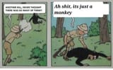 tintin