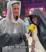 korv