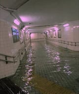 dqhsblbdgob51