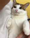1954150823929544782 (1)_thumb.jpg