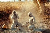 nuba