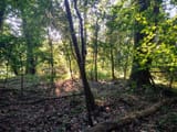 IMG_20250809_085826389_HDR