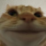 1754665183413297
