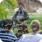 IMG_20250809_180232_248