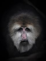 IMG_20220923_123538
