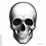 1000_F_381079496_zFVtEKz1wNsCSnuSk6ij1M3bRcKsPVfE