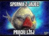 1728494588733421