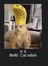 1748094956141095