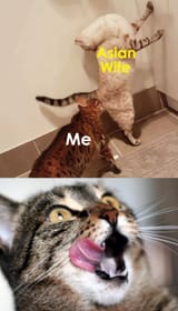 1744174856815822