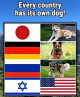 Thread 213646195 OP Image