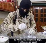memri-dogs