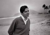tom jobim