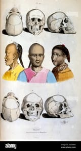 anthropological-illustration-depicting-the-mongoloid-race-by-f-e-gurin-from-dictionnaire-pittoresque-dhistoire-naturelle-et-des-phnomnes-de-la-nature-18331834-2A25M4G