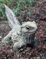 IMG_5323