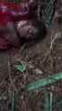 1754606095275080[1]_thumb.jpg