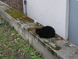 IMG_20250311_172249