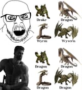Dragon typology