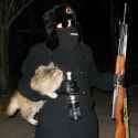 cat ninja