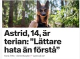 Skärmklipp