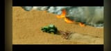 Screenshot_20250804_172136_Brave