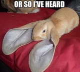 or so ive heard