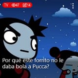 Pucca