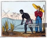 farmer