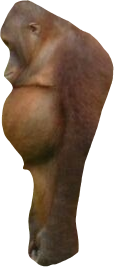 hunchback