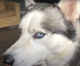 sideeye