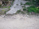 IMG_20240229_181558532